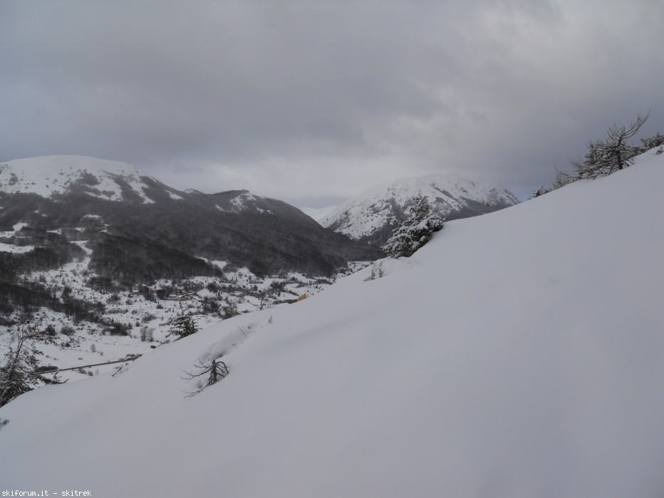 87402-dscn0301.jpg