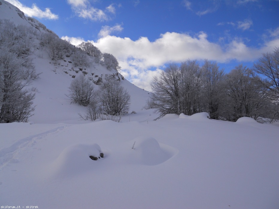 87408-dscn0324.jpg