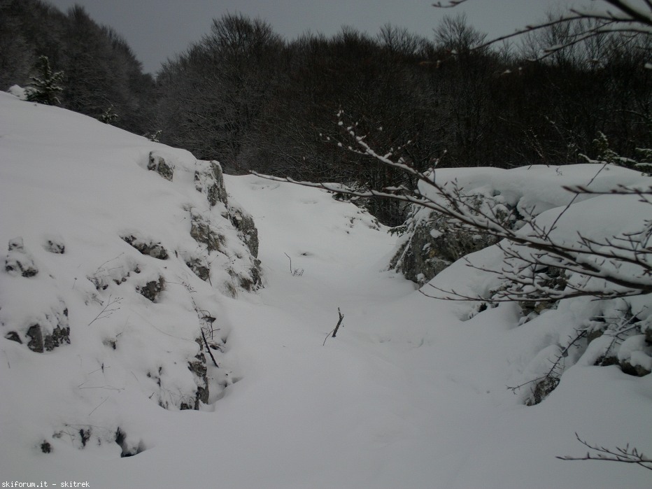87409-imag0003.jpg