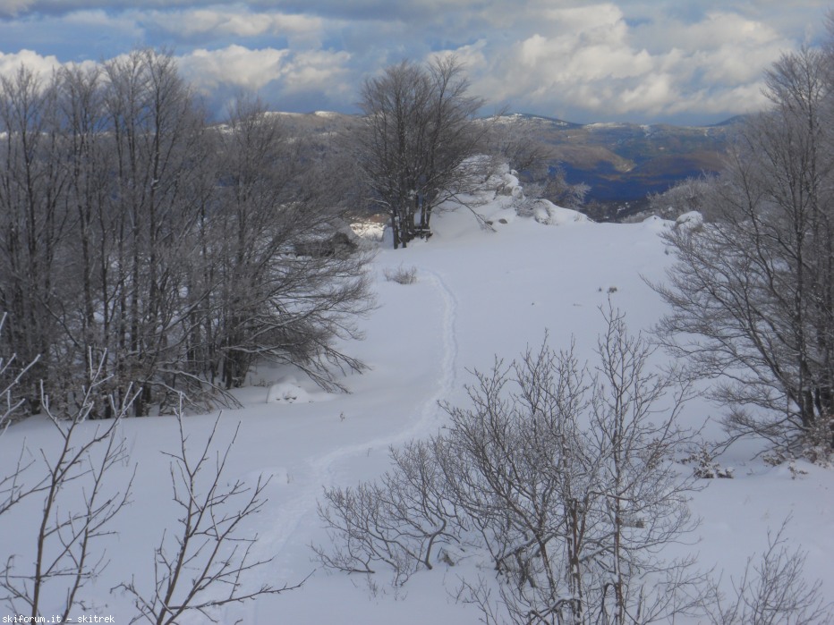 87411-dscn0335.jpg