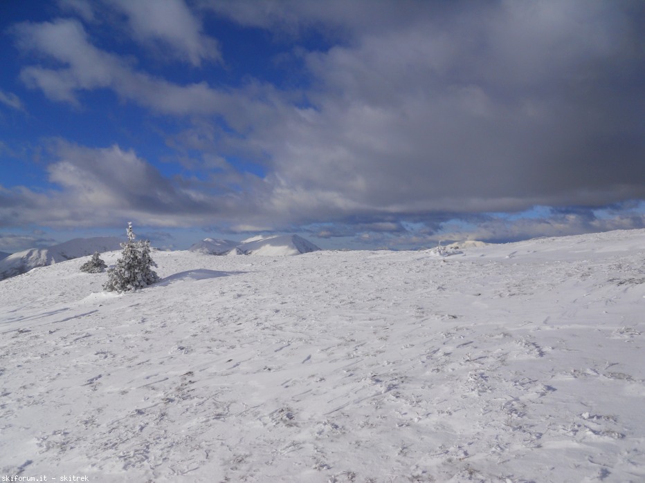 87415-dscn0340.jpg