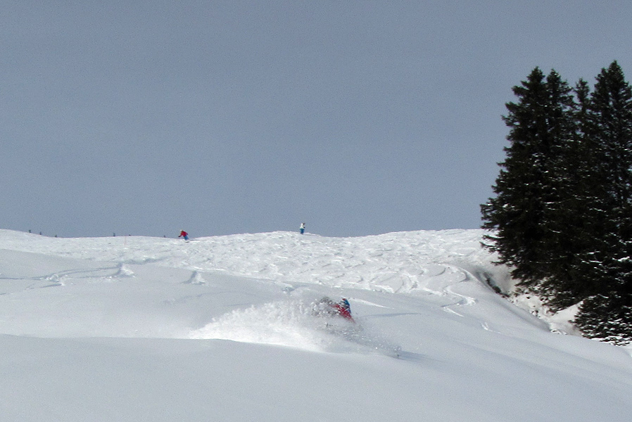 88498-fab-alpbachtal4.jpg