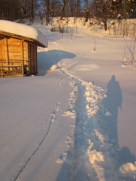 90840-casetta-bosco.jpg