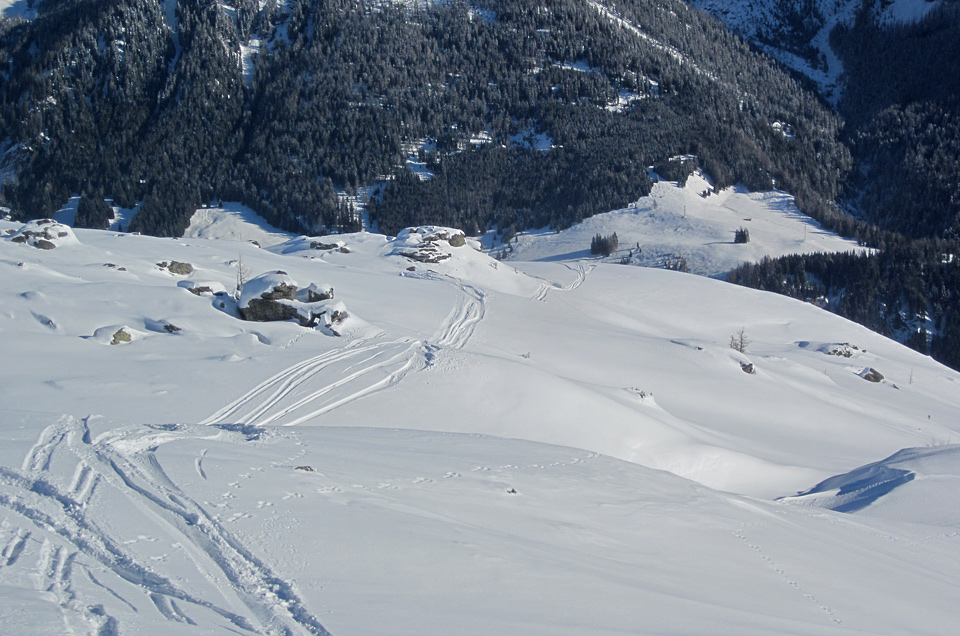 92223-tognola.jpg