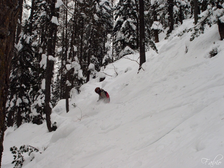 9328-luke-faloria.jpg
