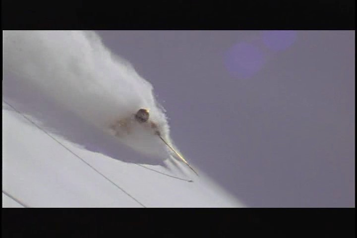 963-bscap0015.jpg