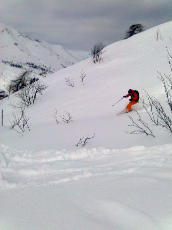 97405-paradiso4.jpg