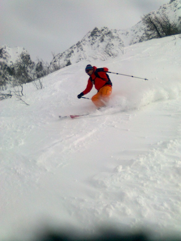 97406-paradiso2.jpg