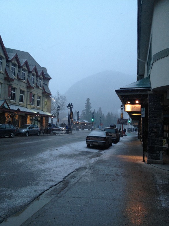 98808-img3337.jpg