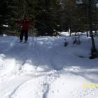Iloveski in volo