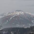 immagine freeride san martino di castrozza