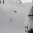 REVELSTOKE B.C.- 1 MERCOLEDI' DA LEONI