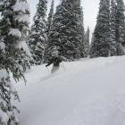 REVELSTOKE B.C.- the heliski week