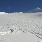REVELTOKE B.C. fresh tracks in the morning
