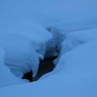 neve