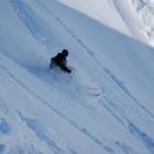 Bianconiglio in pow