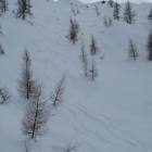 Porca vacca .......troppe tracce.......per i nostri gusti!