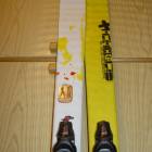Rossignol gialloni