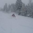 foto powder