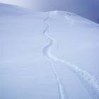 Traccia solitaria del sottoscritto...puro godimento
