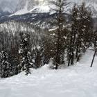 Bigontina destra...dietro l'angolo il paradiso (qui trifolatissimo)