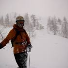 Powder in powder