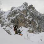 Foto boschetti Faloria