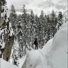 foto boschetti nevefresca