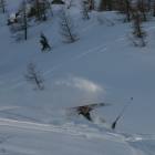 Roar powder immersion