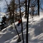 Iacopo treeskiing roar