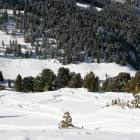 Boschetti Cermis, zona Costabella - rientro