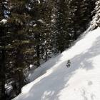 Fuoripista Alpe Cermis