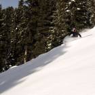 Powderis Cermis