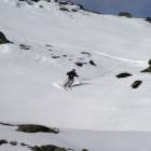 Irebec in azione Irebec in azione