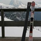 Immagine elan 888 foto elan 888