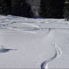 Snowboarder e skier amichevolmente in Powder immagine freerider powder