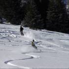 Skier and Snowboarder in powder foto freeride skiers boarders