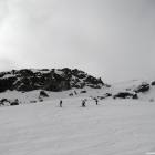 Prima Powder Prima Powder