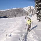 sulla strada verso la malga Venegiotta sulla strada verso la malga Venegiotta