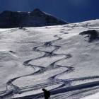 tracce neve fresca