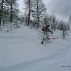 Grand Montets powder