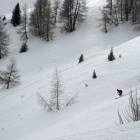 fuoripista hintertux
