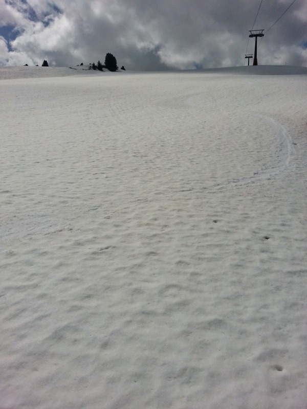 101084-chi-la-dura-la-vince-20130505105154.jpg