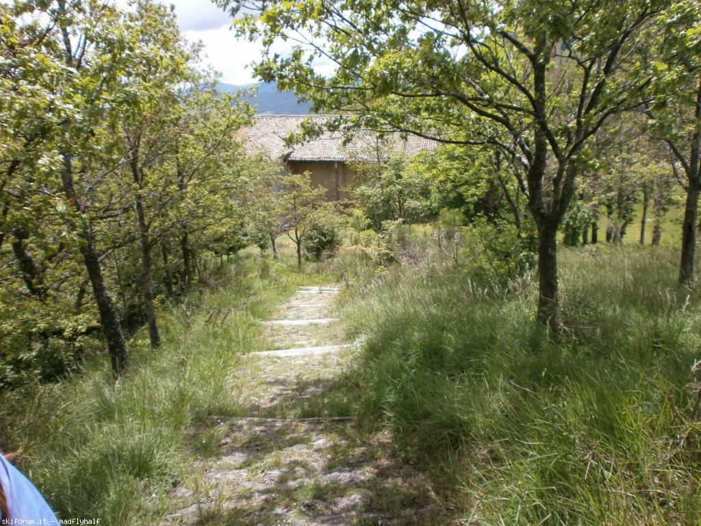 102283-montovolo02-p5260659.jpg
