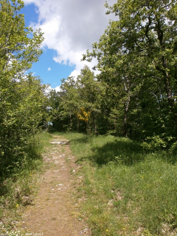 102289-montovolo03-p5260666.jpg