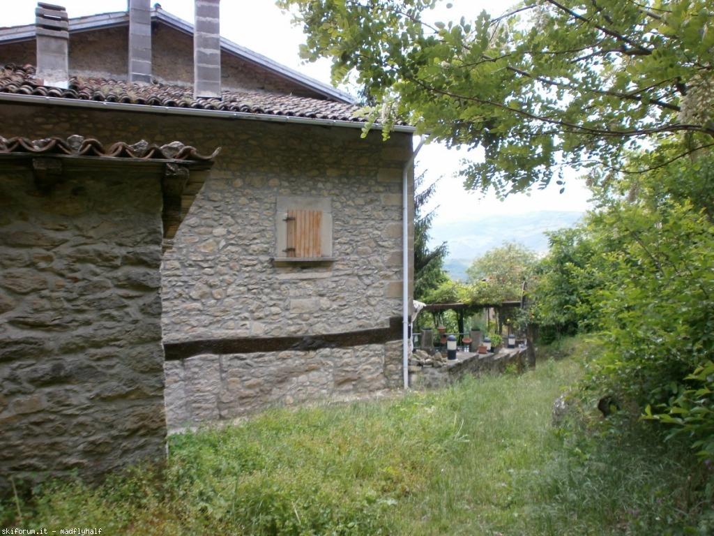 102301-montovolo03-p5260695.jpg
