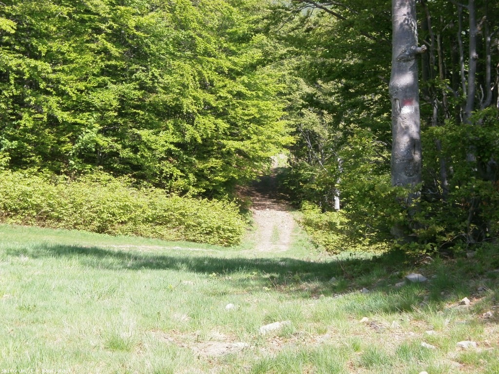 102611-spigolino-scaffaiolo-p6080728.jpg