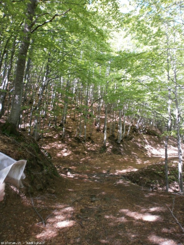 102612-spigolino-scaffaiolo-p6080733.jpg