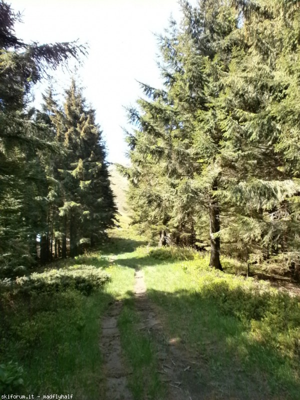 102614-spigolino-scaffaiolo-p6080749.jpg