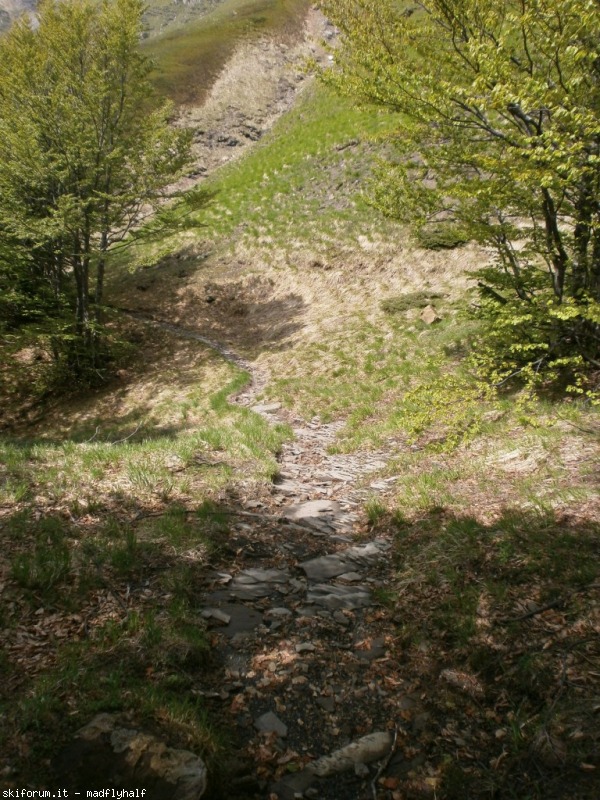 102622-spigolino-scaffaiolo-p6080780.jpg